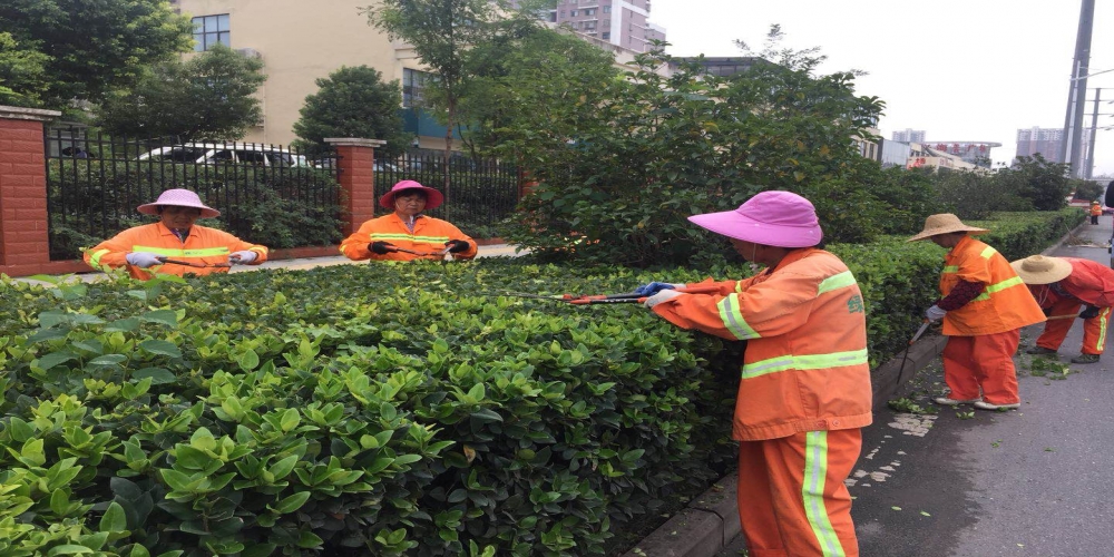 新站區(qū)道路清掃保潔、綠化管養(yǎng)項目