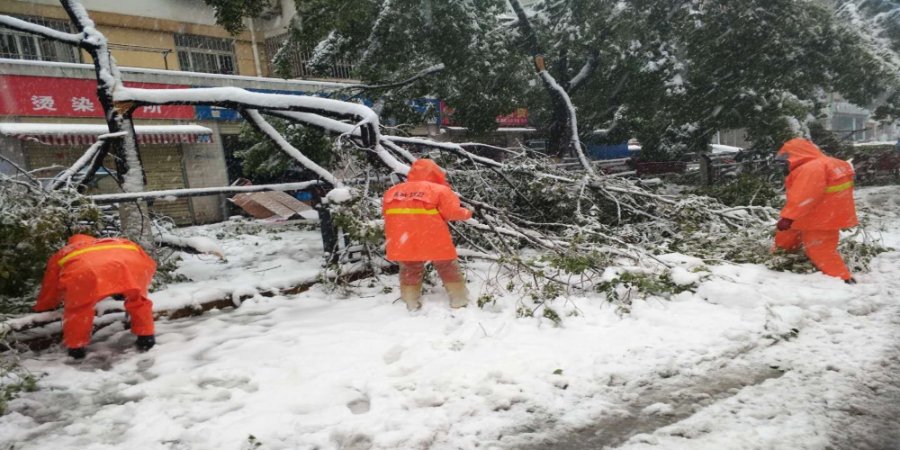 新站區(qū)道路清掃保潔、綠化管養(yǎng)項目
