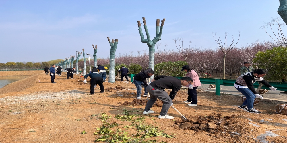 黨建引領(lǐng)共植綠 凝心聚力譜新篇 ——和合生態(tài)、德嘉置業(yè)黨支部赴小廟基地義務(wù)植樹
